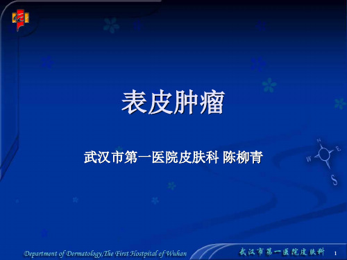 表皮肿瘤及囊肿