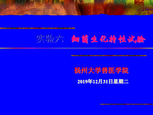 实验五 大肠杆菌与沙门氏菌