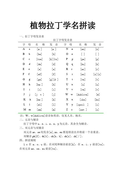 植物拉丁学名(150个拉丁名)