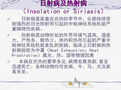日射病及热射病