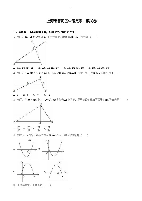 精选上海市普陀区中考数学一模试卷(有详细答案)