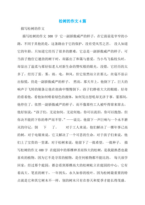 松树的作文4篇