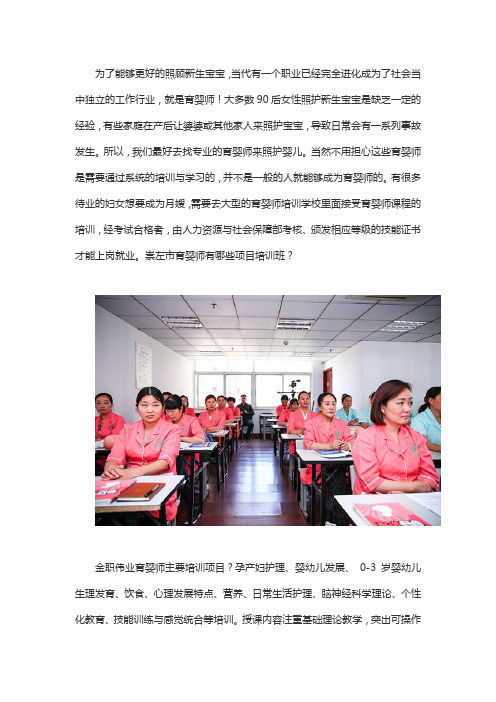 崇左市育婴师有哪些项目培训班？