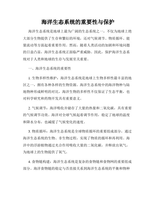 海洋生态系统的重要性与保护
