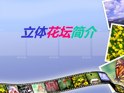 立体花坛