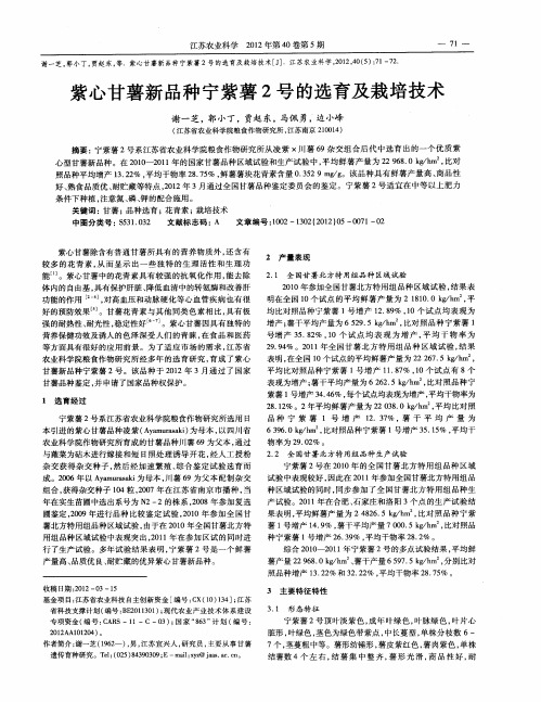 紫心甘薯新品种宁紫薯2号的选育及栽培技术