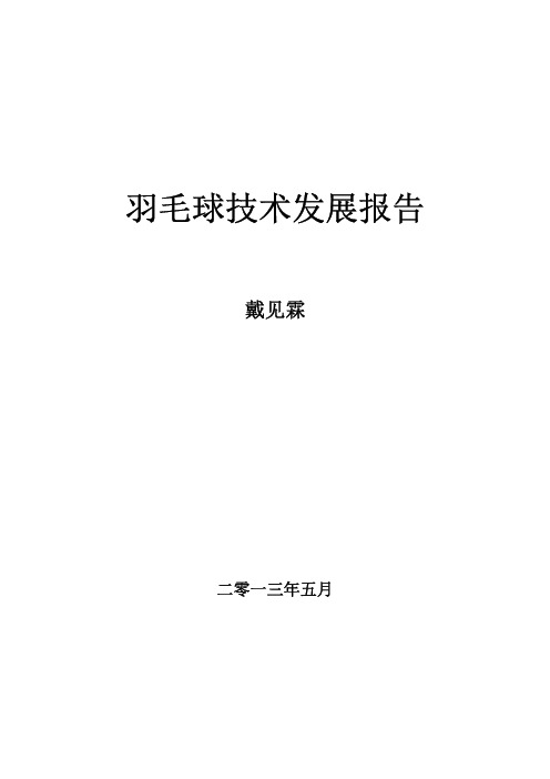 羽毛球技术发展报告--戴见霖 2013.5