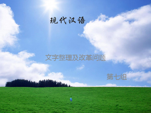 现代汉语(汉字改革及发展问题)