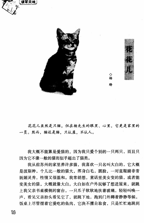 花花儿