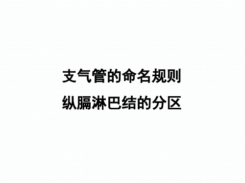 支气管的命名规则及纵膈淋巴结分区(53页)