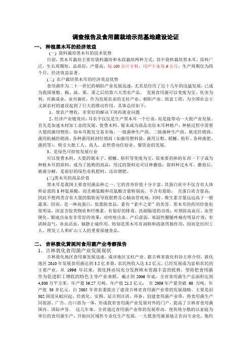 黑木耳调查及论证02