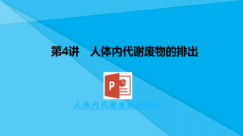 中考生物复习：人体内代谢废物的排出ppt 济南版优秀课件