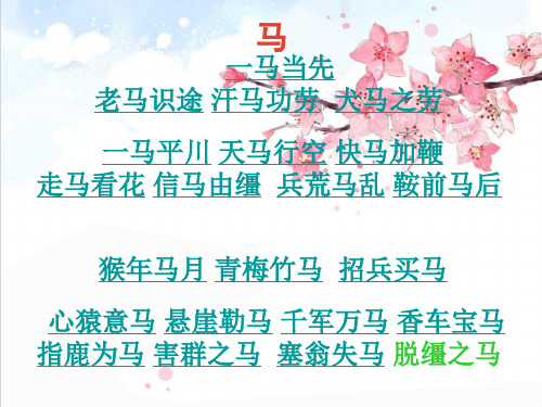 描写小动物的PPT课件56434精品PPT课件