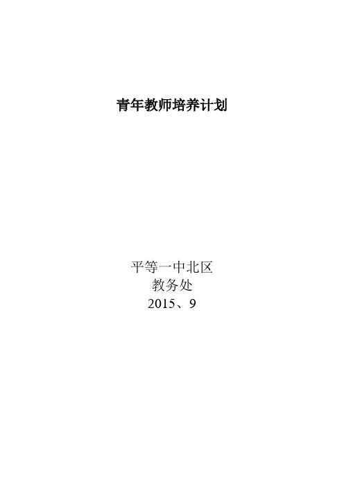 青年教师培养计划和措施