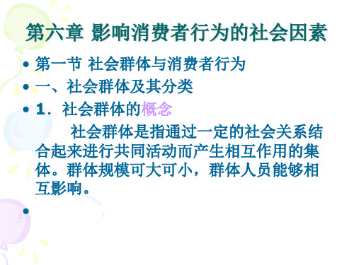 第六章影响消费者行为的社会因素ppt课件