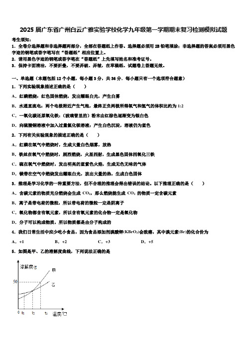 2025届广东省广州白云广雅实验学校化学九年级第一学期期末复习检测模拟试题含解析