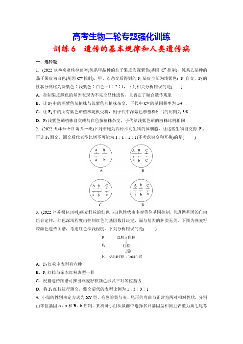 高考生物二轮专题强化训练6 遗传的基本规律和人类遗传病