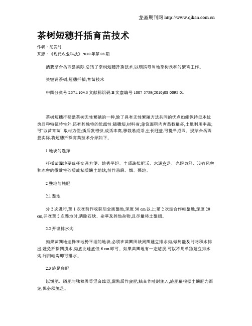茶树短穗扦插育苗技术