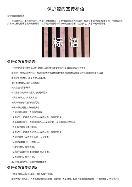 保护鲸的宣传标语