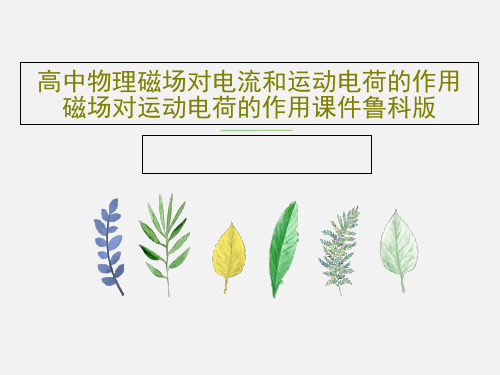 高中物理磁场对电流和运动电荷的作用磁场对运动电荷的作用课件鲁科版28页PPT