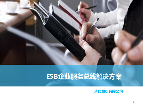 ESB企业服务总线解决方案ppt课件