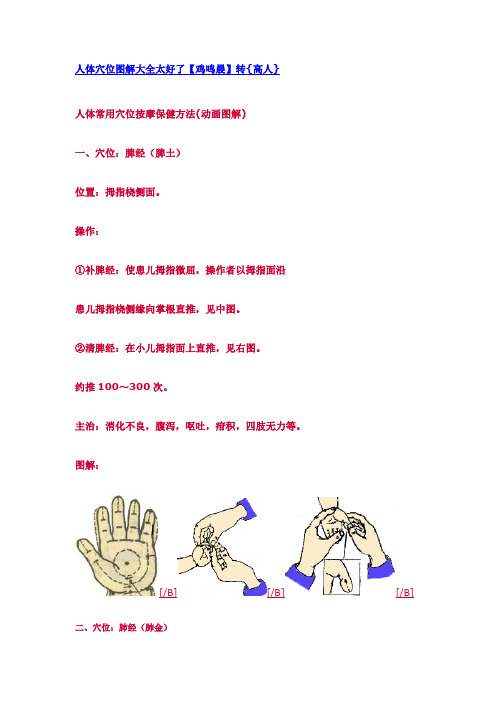 人体穴位图解大全