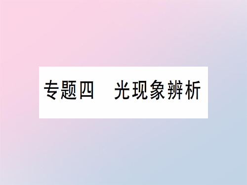第四章 专题四 光现象辨析—2020年秋沪科版八年级上册物理课件