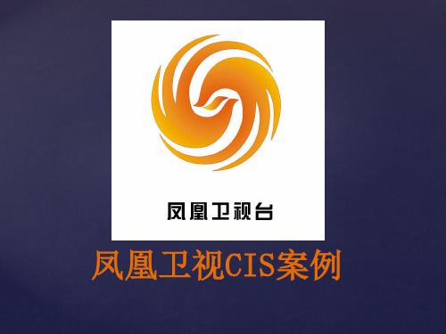 凤凰卫视CIS案例