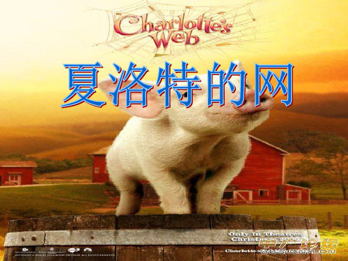 夏洛特的网简解