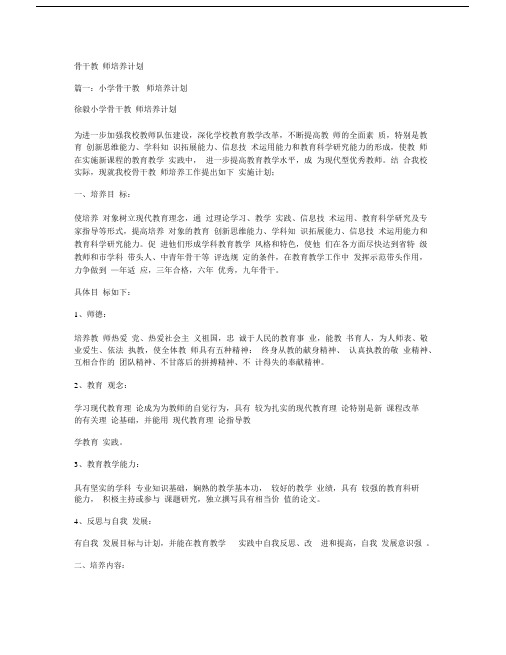 骨干教师培养计划规划方案.docx