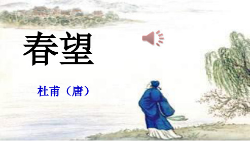 初中八年级语文上册杜甫《春望》ppt课件(人教版)