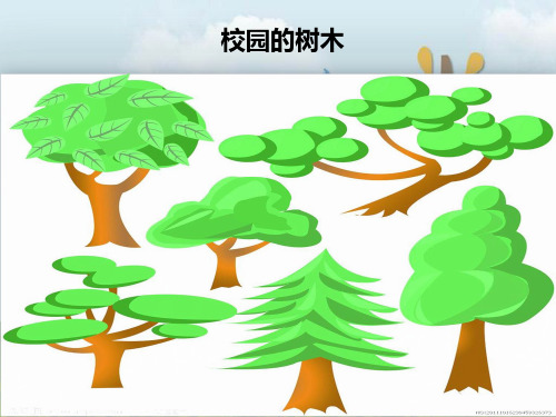 新版三年级上册科学课件-1.2校园的树木｜教科版 (共11张PPT)演示课件