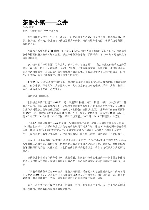 茶香小镇——金井