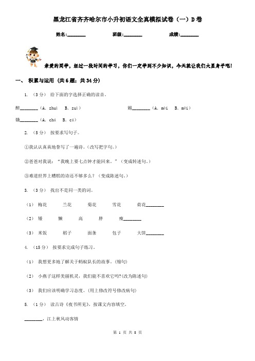 黑龙江省齐齐哈尔市小升初语文全真模拟试卷(一)D卷