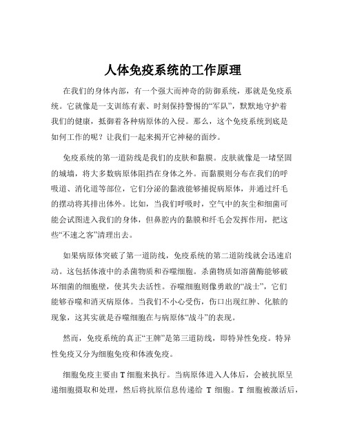 人体免疫系统的工作原理