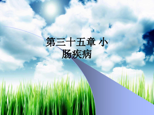 第三十五章 小肠疾病ppt课件