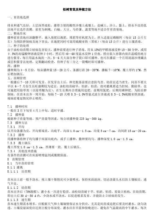松树育苗及种植方法