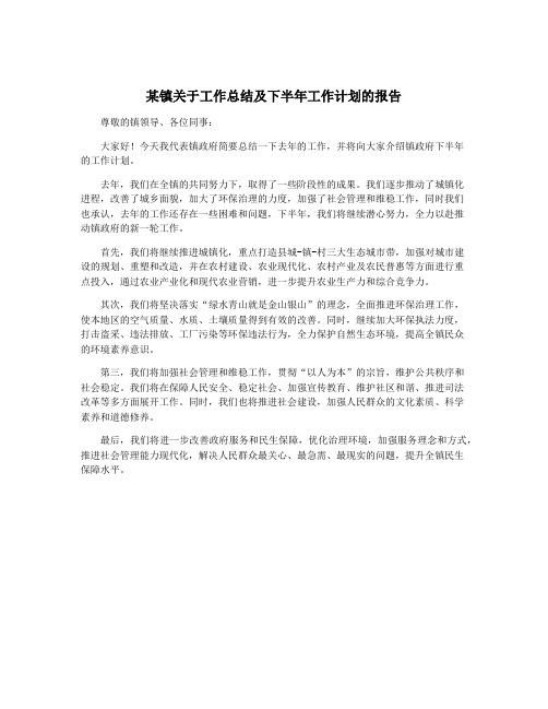 某镇关于工作总结及下半年工作计划的报告