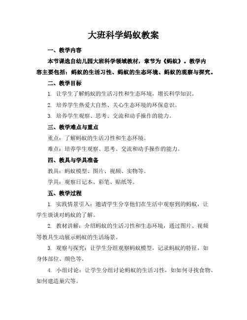 大班科学蚂蚁教案