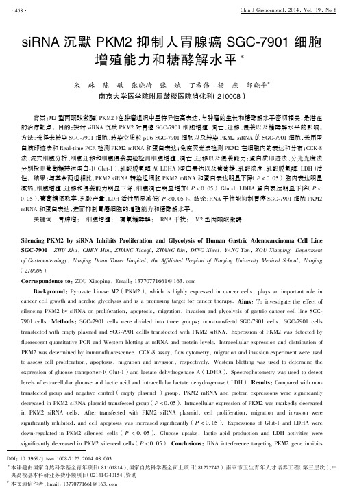 siRNA沉默PKM2抑制人胃腺癌SGC-7901细胞增殖能力和糖酵解水平