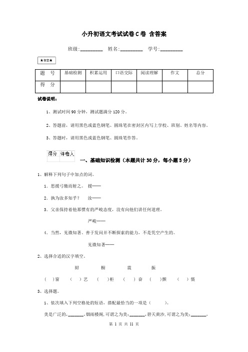 小升初语文考试试卷C卷 含答案