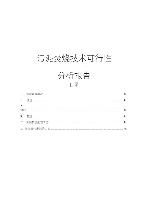 污泥焚烧技术可行性报告