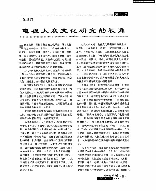 电视大众文化研究的视角