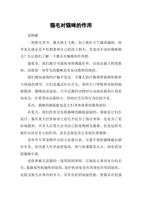 猫毛对猫咪的作用
