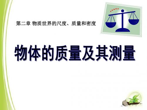 《物体的质量及其测量》物质世界的尺度、质量和密度PPT精品教学课件3