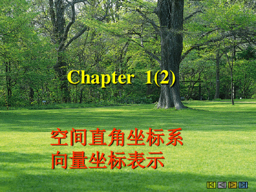 大学线性代数—— 空间直角坐标系 向量坐标表示