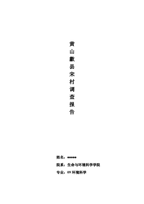 黄山歙县宋村调查报告