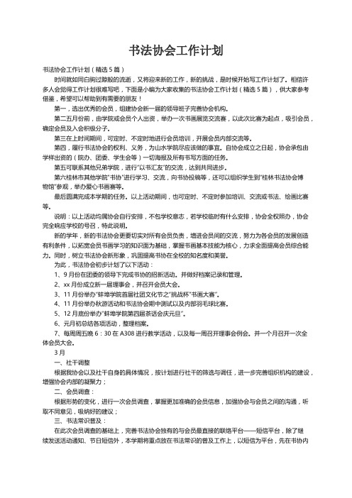 书法协会工作计划（精选5篇）