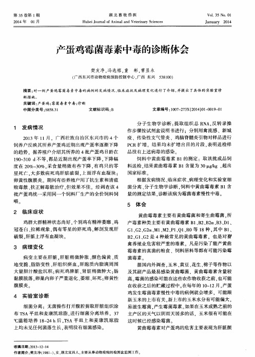 产蛋鸡霉菌毒素中毒的诊断体会