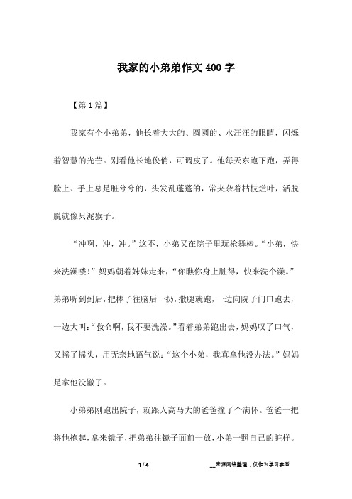 我家的小弟弟作文400字